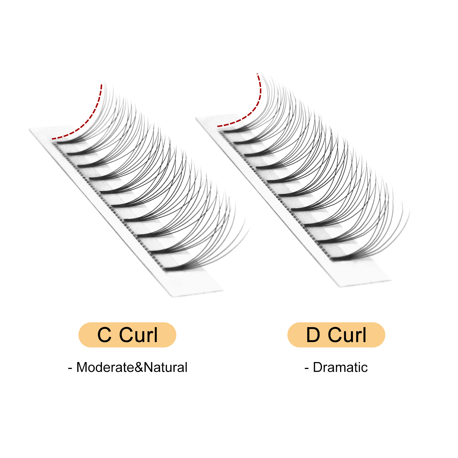 Quewel Premade Fans Lashes 8D/ – Eyelash Extension C Curl Bewertung und Preis