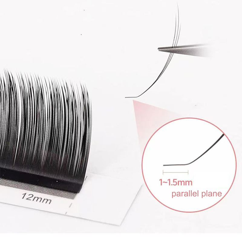 dream ballet Camellia Lashes w – Eyelash Extension C Curl Bewertung und Preis