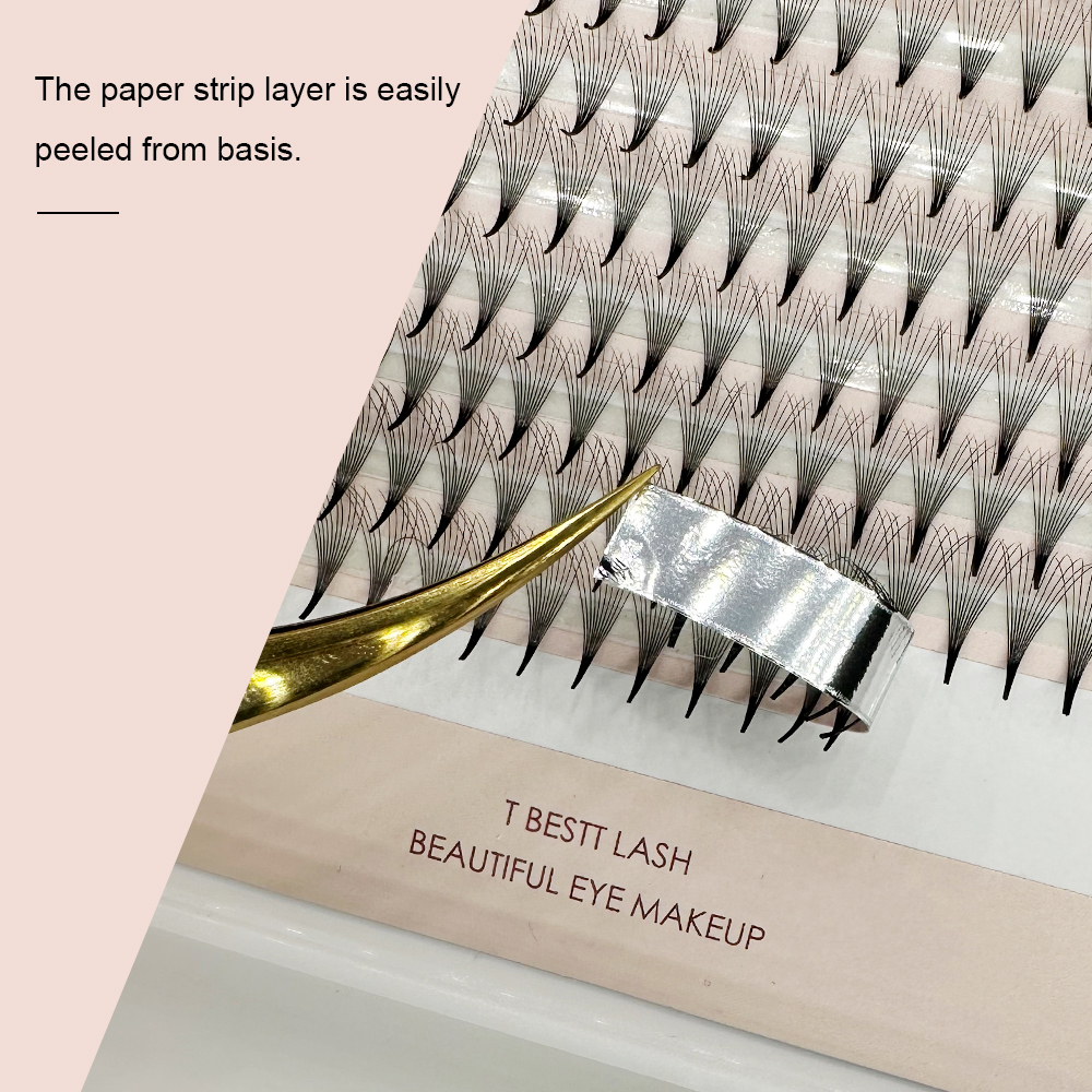 TBestt 5D/6D/8D/10D Premade Fa – Eyelash Extension Review Bewertung und Preis