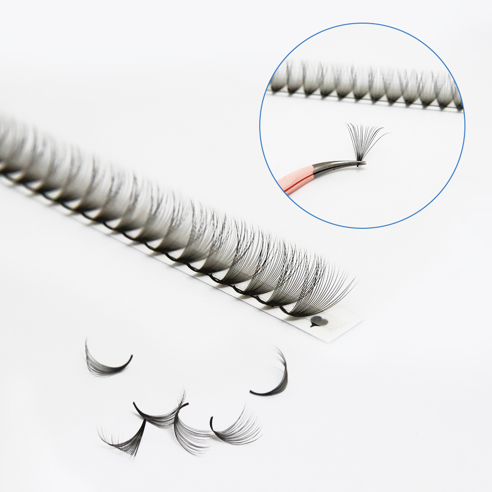 JB Jeyelabeau 6D 10D 20D 30D P – Eyelash Extension Review Bewertung und Preis