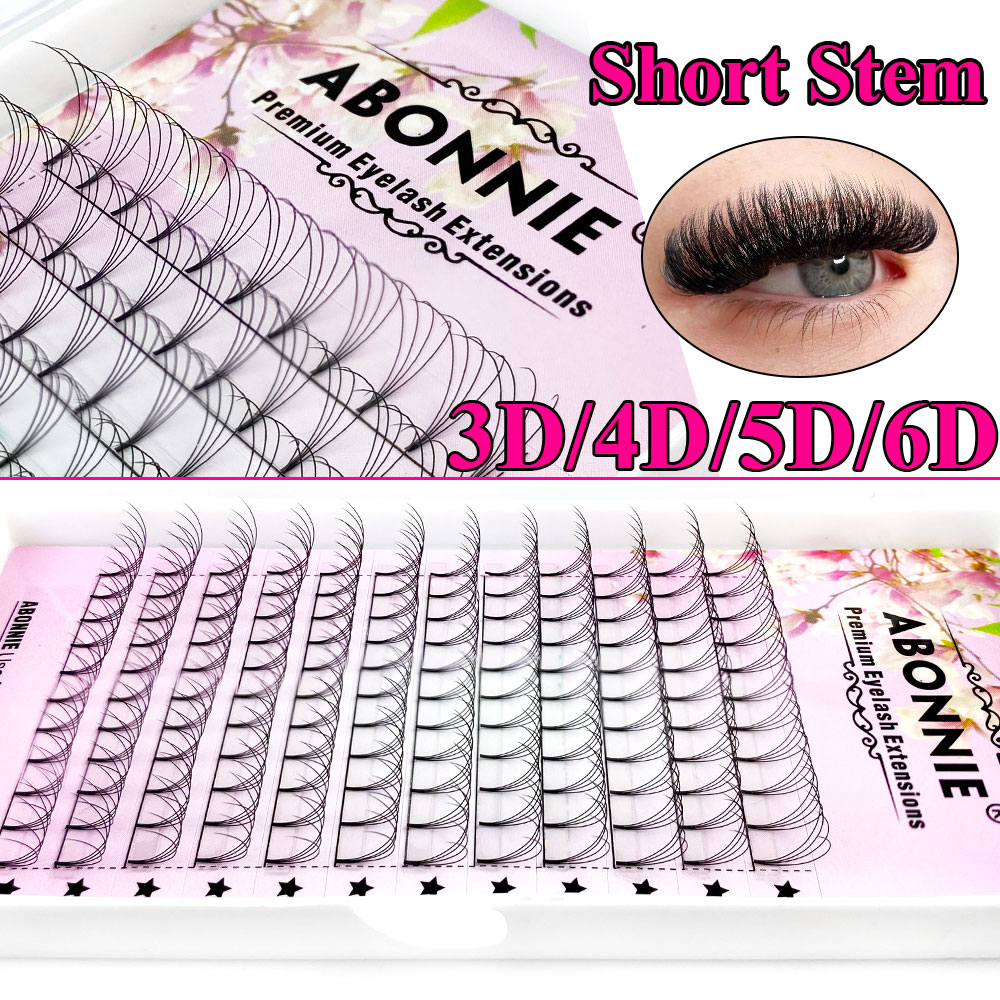 Abonnie 6D Narrow Fan Premade  – Eyelash Extension Review Bewertung und Preis