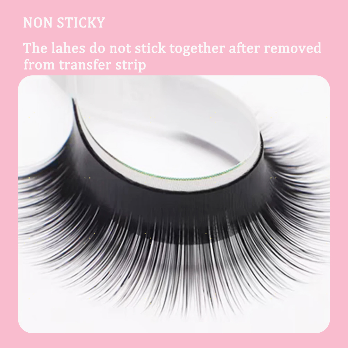 Camellia False Eyelashes 0.05  – Eyelash Extension C Curl Bewertung und Preis