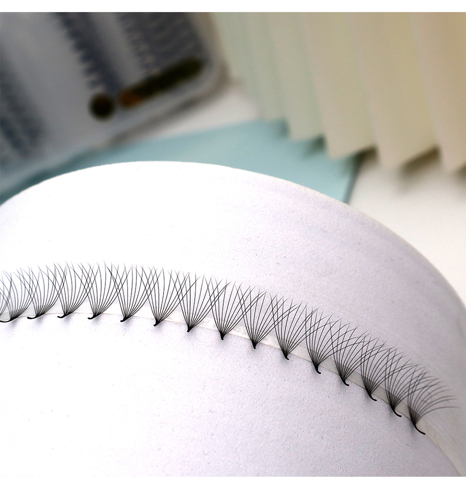 2000 Fans 0.05 0.07 Mix C D La – Eyelash Extension Review Bewertung und Preis