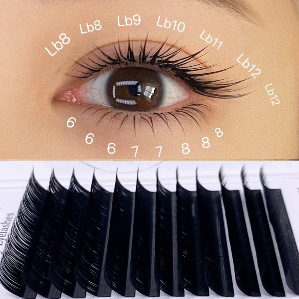LB LC Curl Cmmellia Easy Fan F – Eyelash Extension Natural Classic Bewertung und Preis