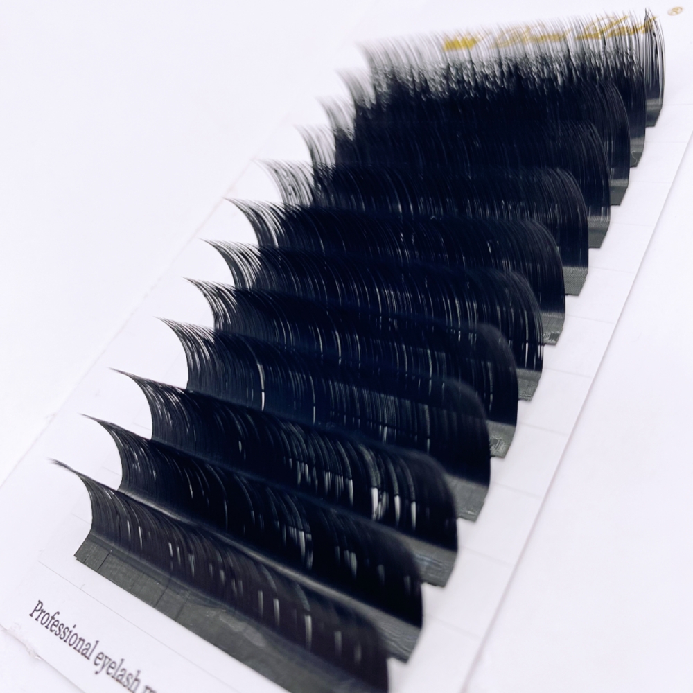 LB LC Curl Cmmellia Easy Fan F – Eyelash Extension Natural Classic Bewertung und Preis
