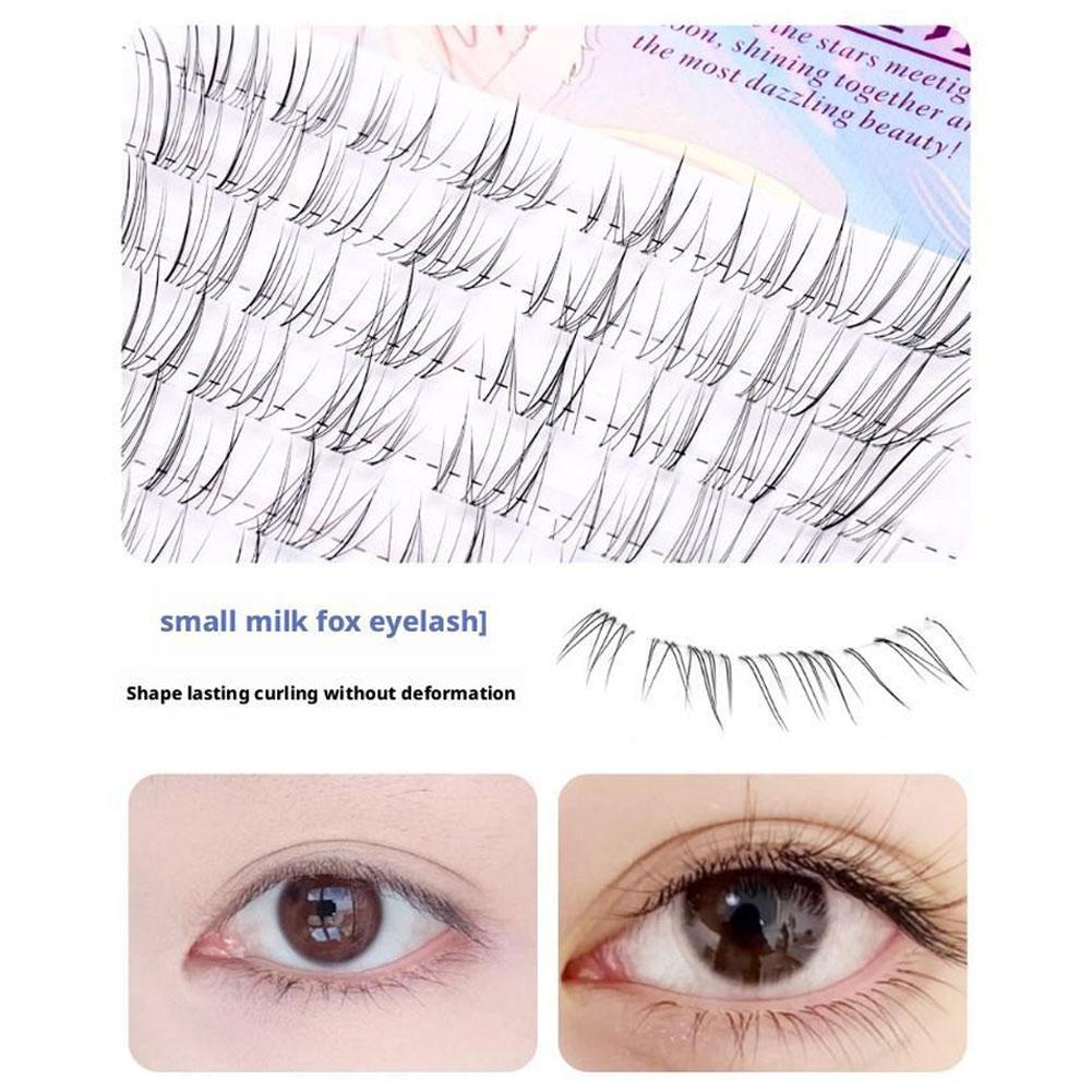 Sunflower Lashes Brown Manga F – Eyelash Extension Douyin Bewertung und Preis
