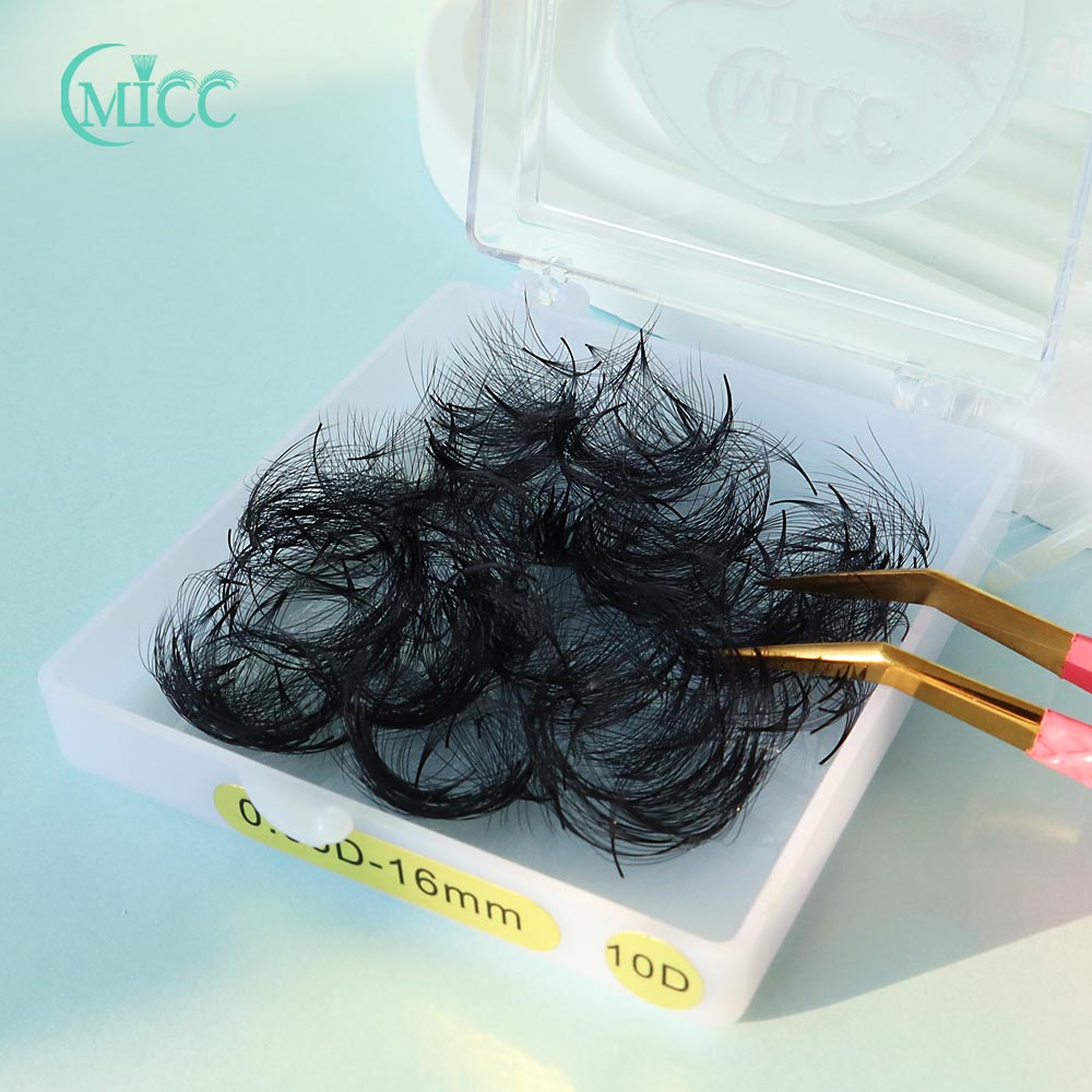 Cmicc Lashes Free Shipping Kor – Eyelash Extension Korean Style Bewertung und Preis